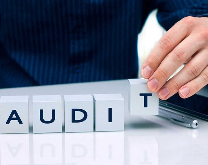 Audit Services
